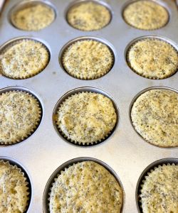 finished lemon poppy seed cupcakes