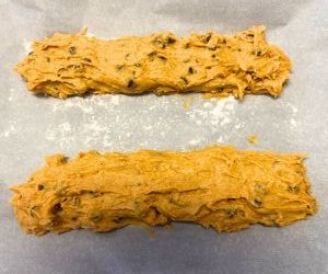 shape pumpkin chocolate chip biscotti dough into two loaves