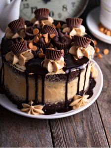 chocolate peanut butter cake