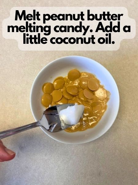 melt candy melts and add a little coconut oil