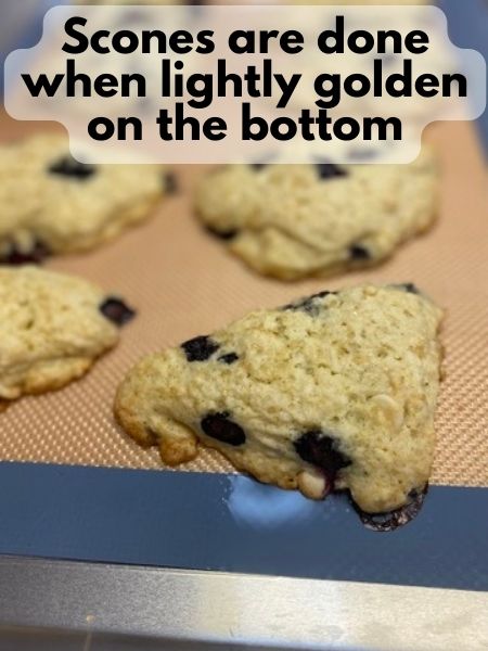 bake until slightly golden on the bottom