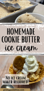 cookie butter ice cream pin