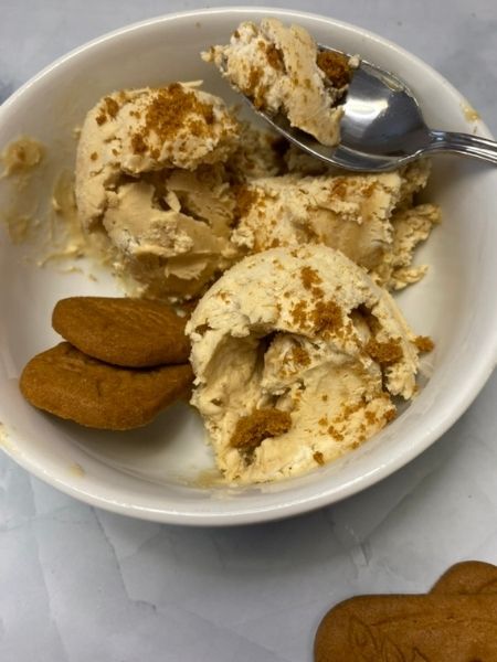 cookie butter ice cream no ice cream maker