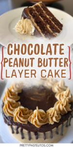 chocolate peanut butter layer cake pin