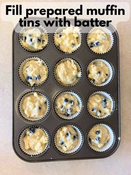 fill muffin tins with batter