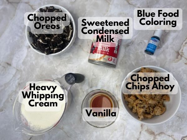 easy cookie monster ice cream ingredients