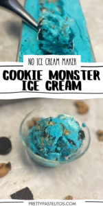 easy cookie monster ice cream pin