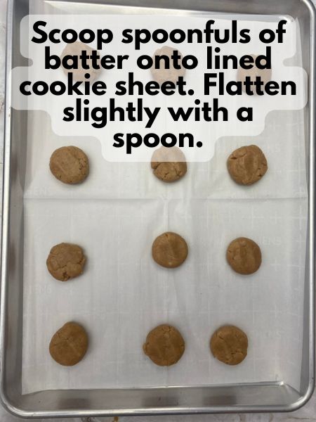 place rounded spoonfuls of dough on lined cookie sheet and flatten slightly