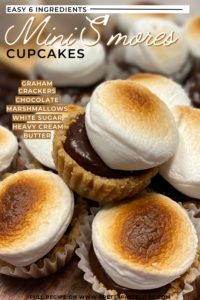 mini smores cupcakes pin