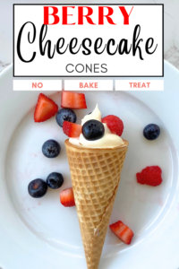 berry cheesecake cones pin
