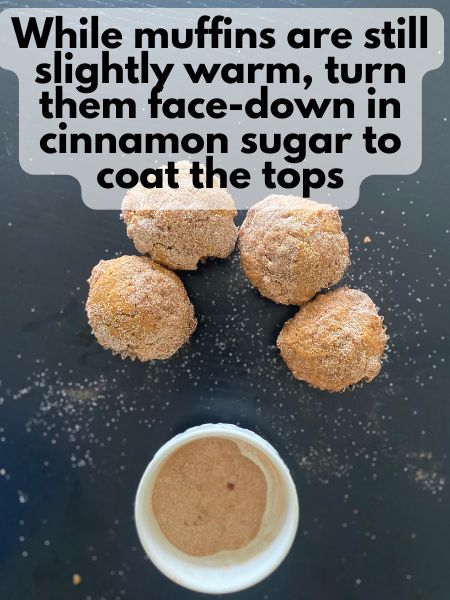 pumpkin snickerdoodle muffins dipped in cinnamon sugar