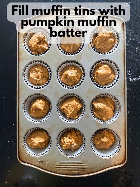 muffin batter in muffin tin