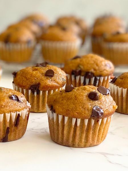 mini pumpkin chocolate chip muffins