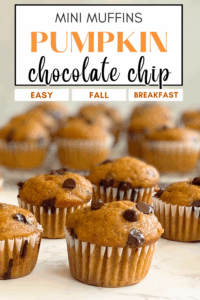 mini pumpkin chocolate chip muffins pin