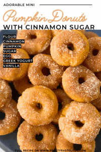 mini pumpkin cinnamon sugar donuts pin