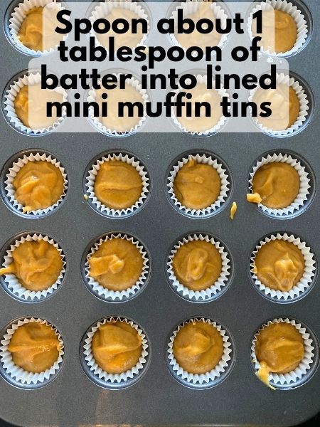 pumpkin muffin batter in muffin tin