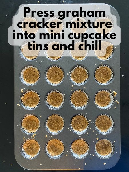 graham cracker crust pressed into mini cupcake tins