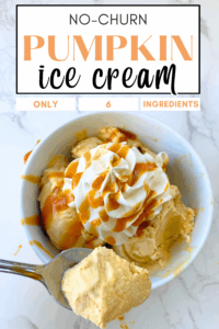 pumpkin ice cream pin