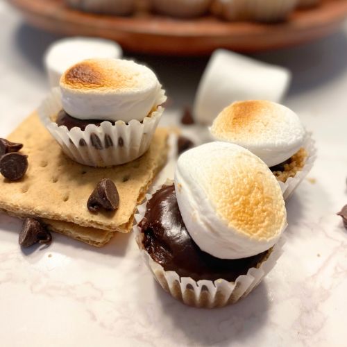 mini smores bites