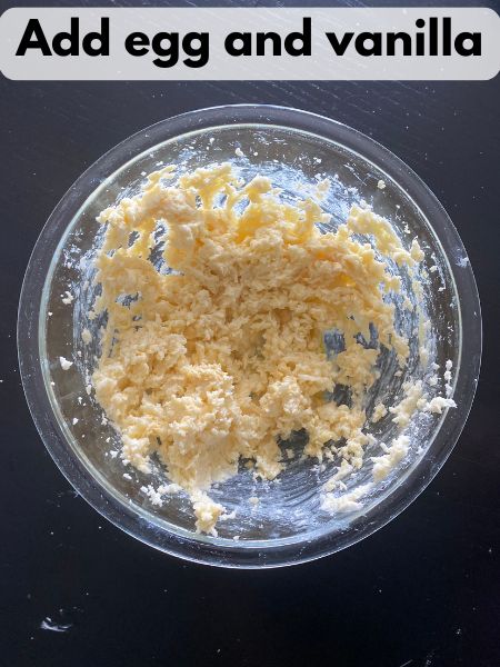egg and vanilla added to creamed butter and sugar