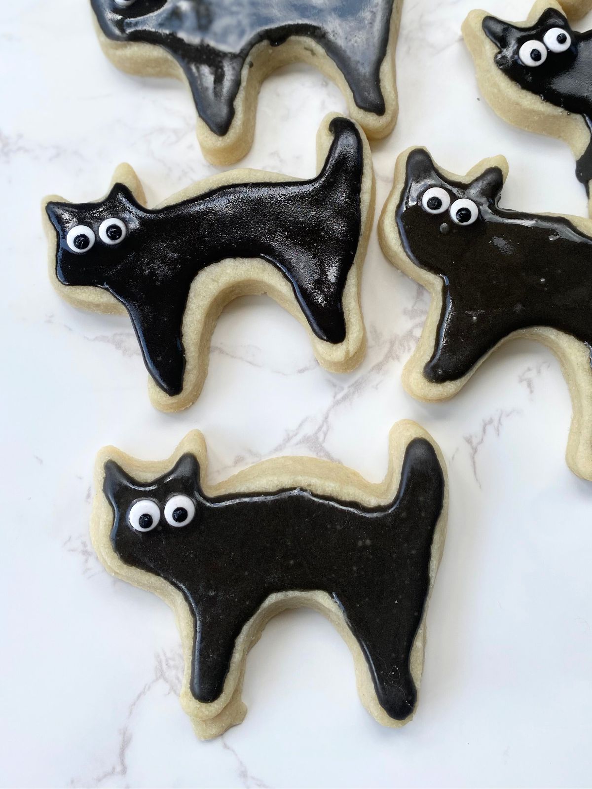 cat decorated sugar cookies