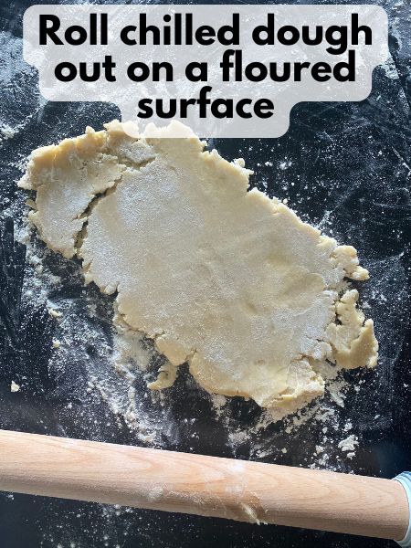 chilled cutout cookie dough rolled out