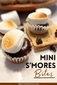mini s'mores bites pin