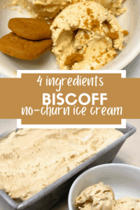 biscoff ice cream pin