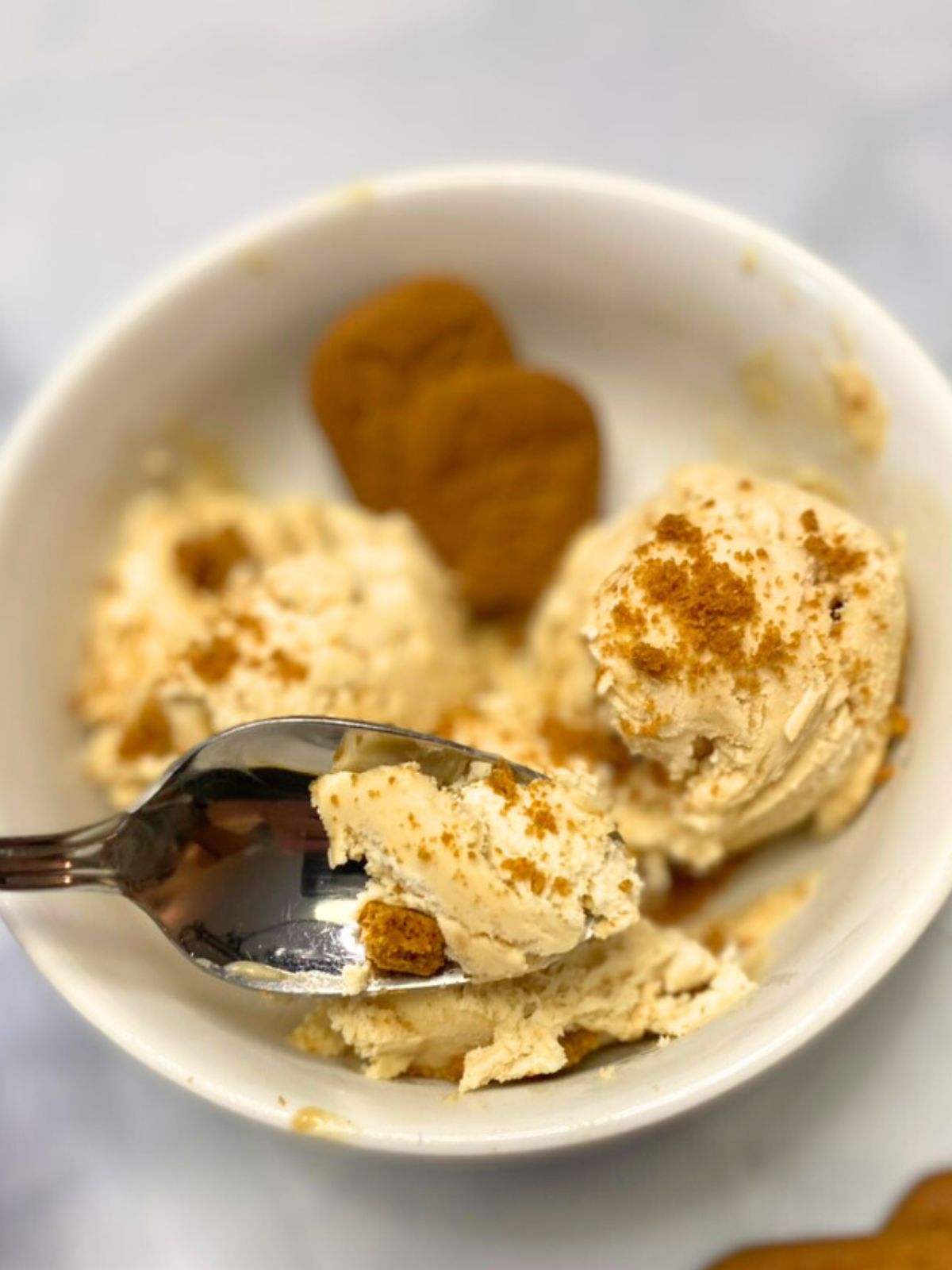 cookie butter ice cream