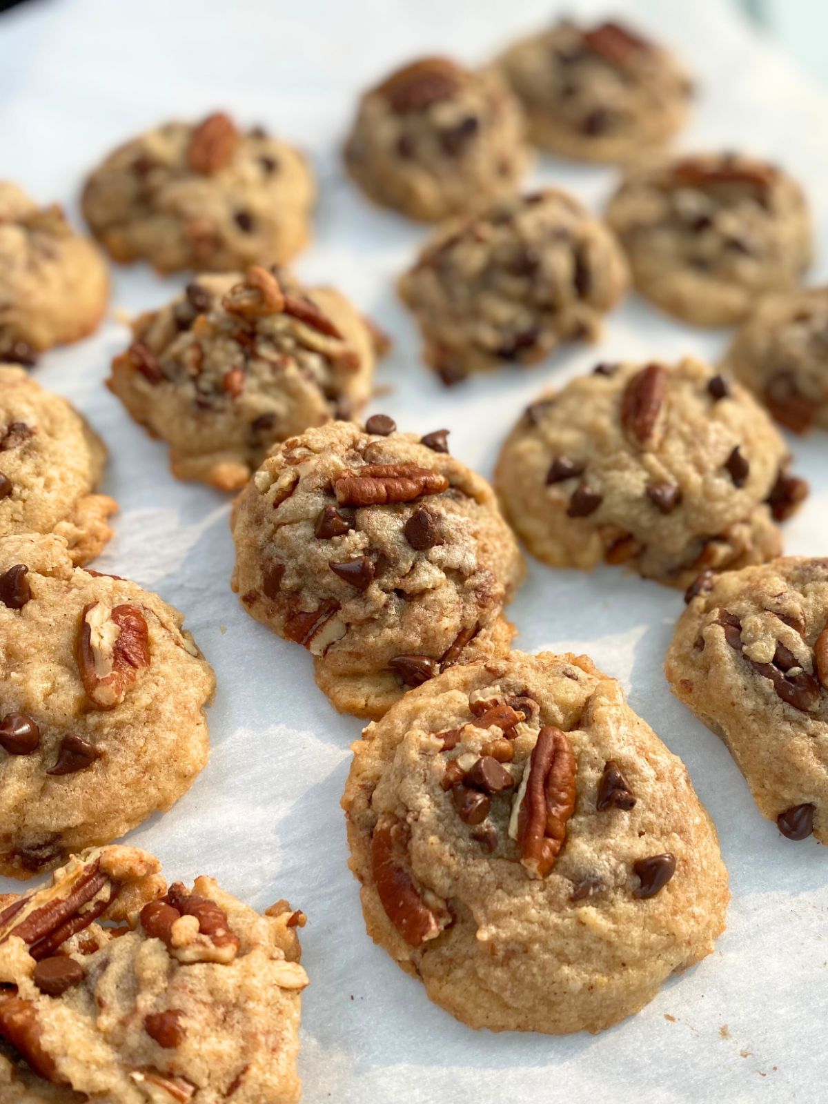 brown buttter chocolate chip and pecan cookies