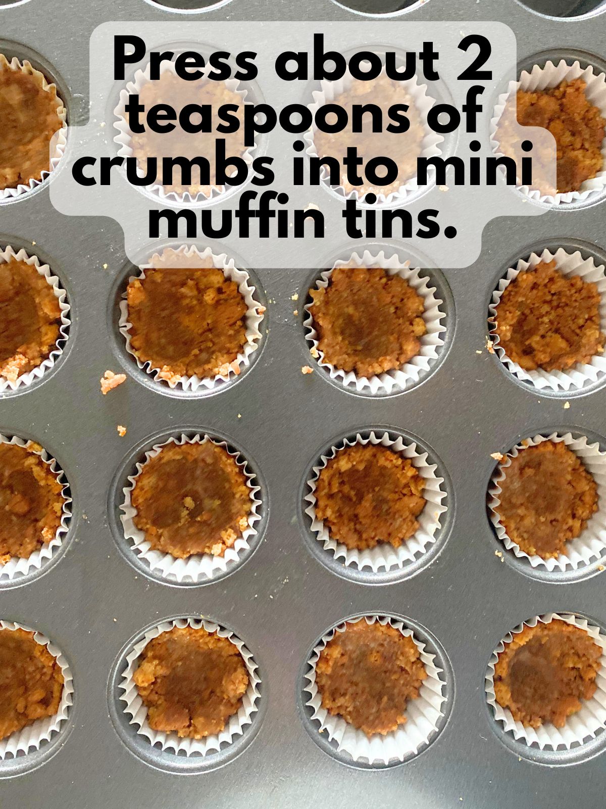 gingersnap crumbs pressed into mini muffin tin to make crusts