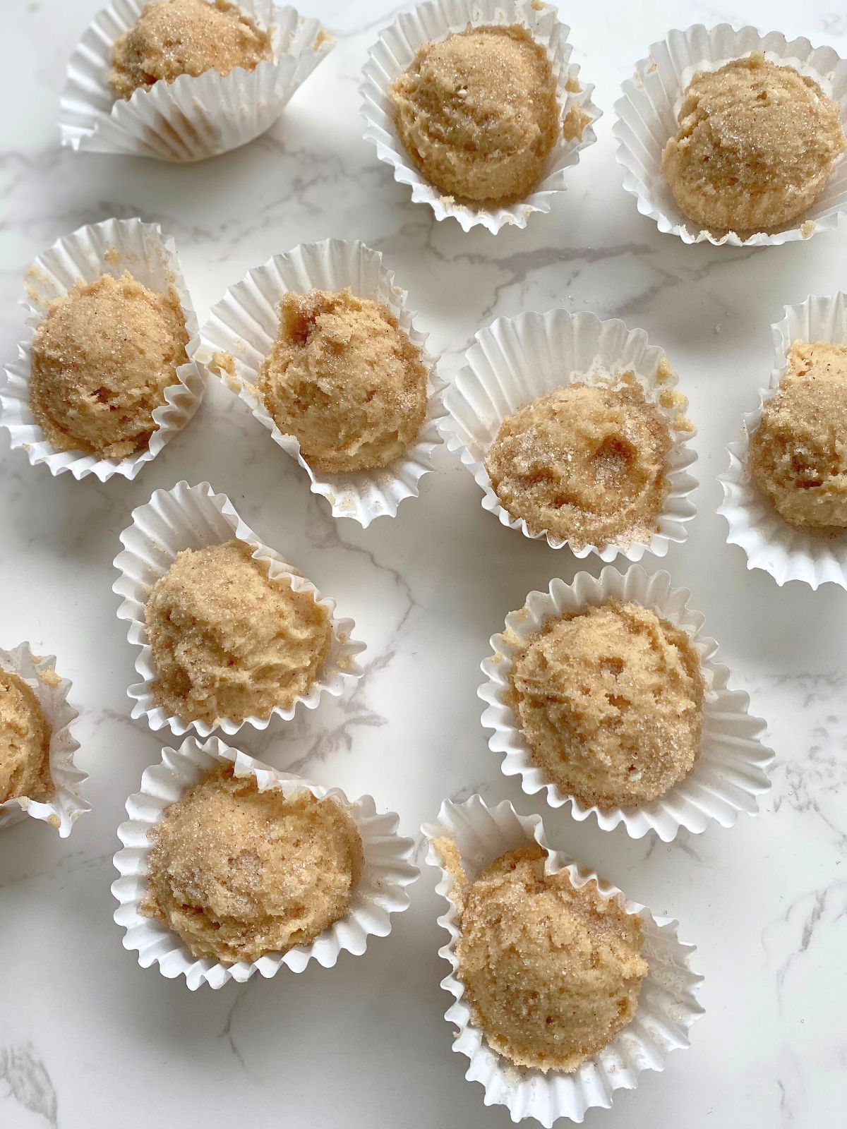snickerdoodle edible cookie dough