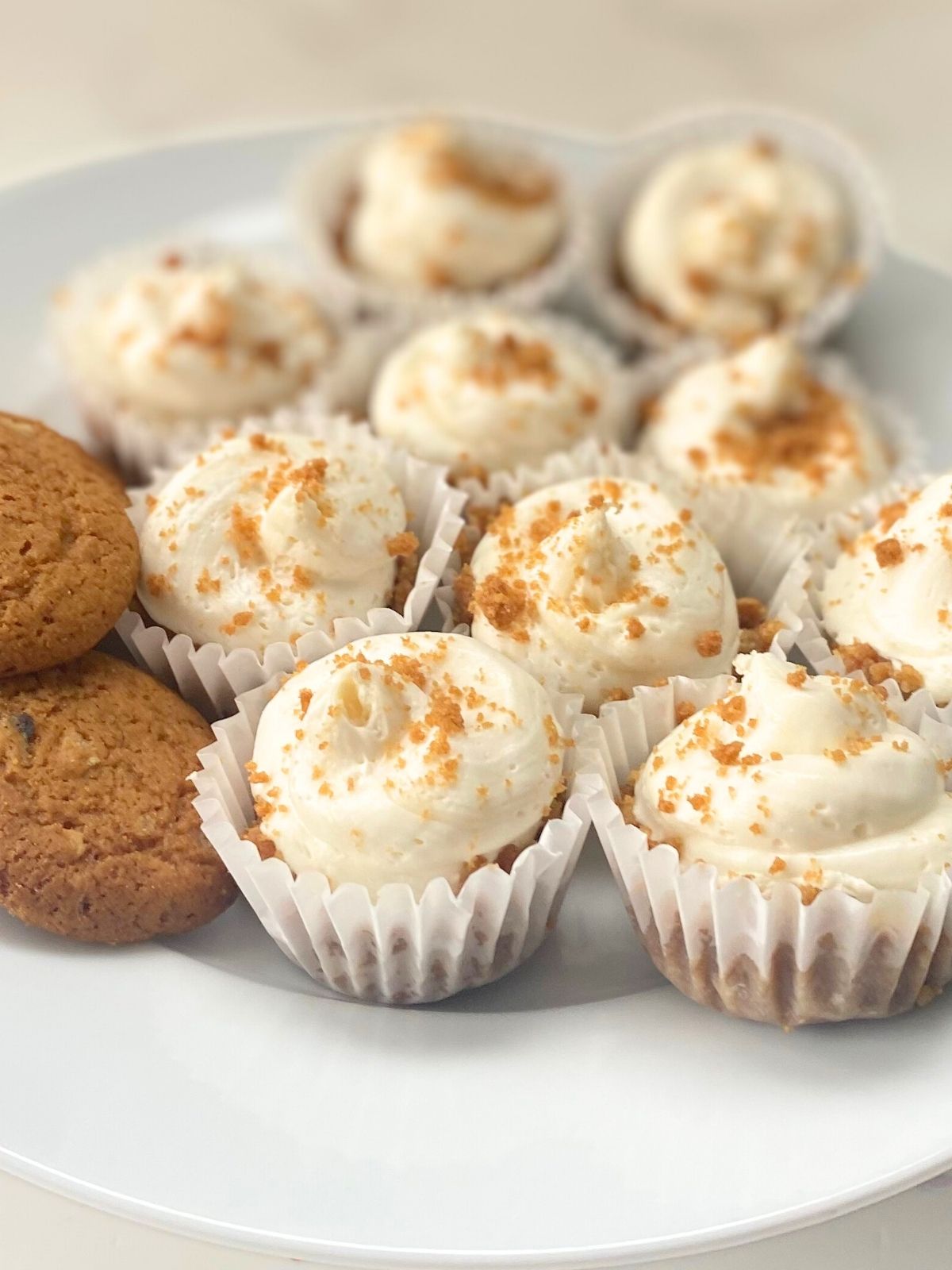 gingersnap cheesecake bites