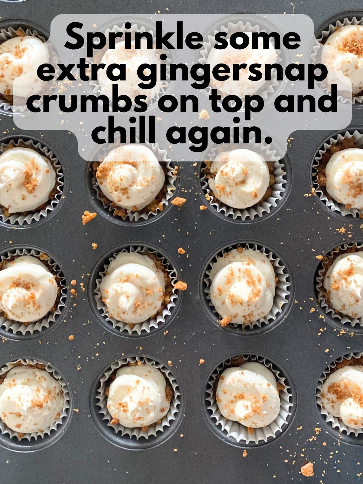 gingersnap cheesecake bites garnished with extra gingersnap crumbs
