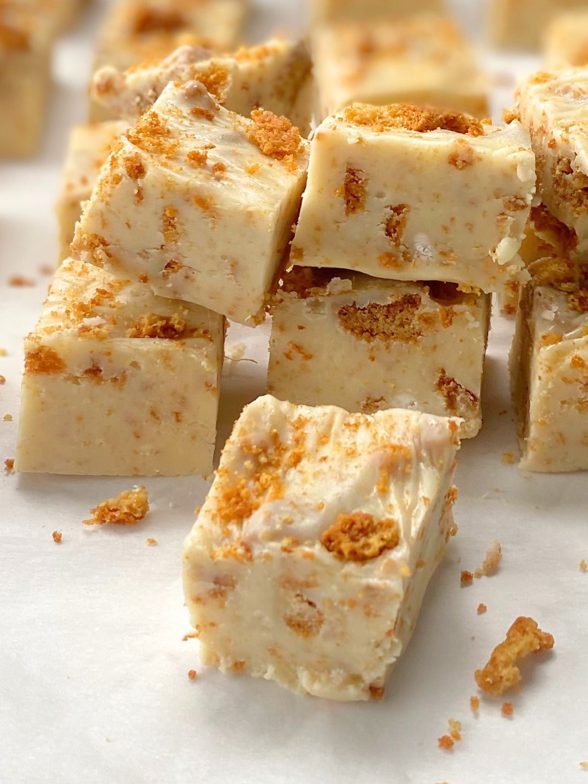 gingersnap fudge
