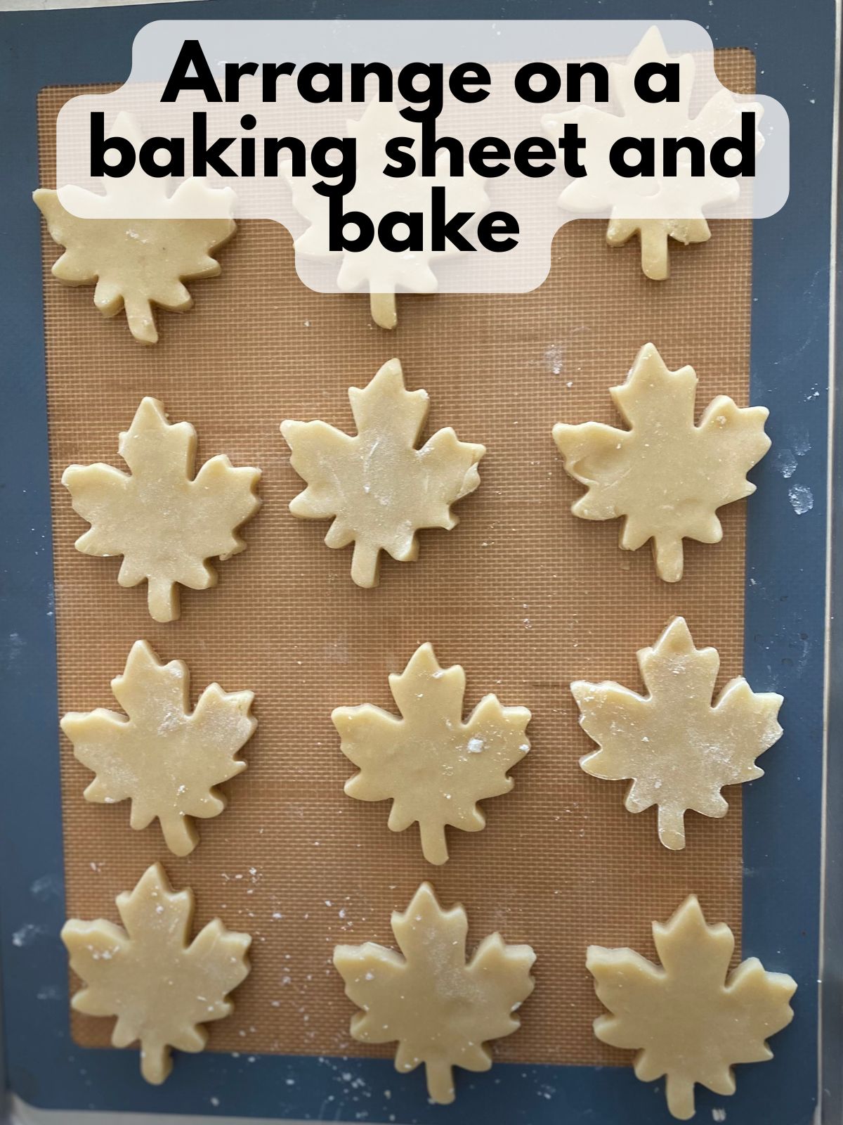 maple leaf cutout cookies on a baking sheet