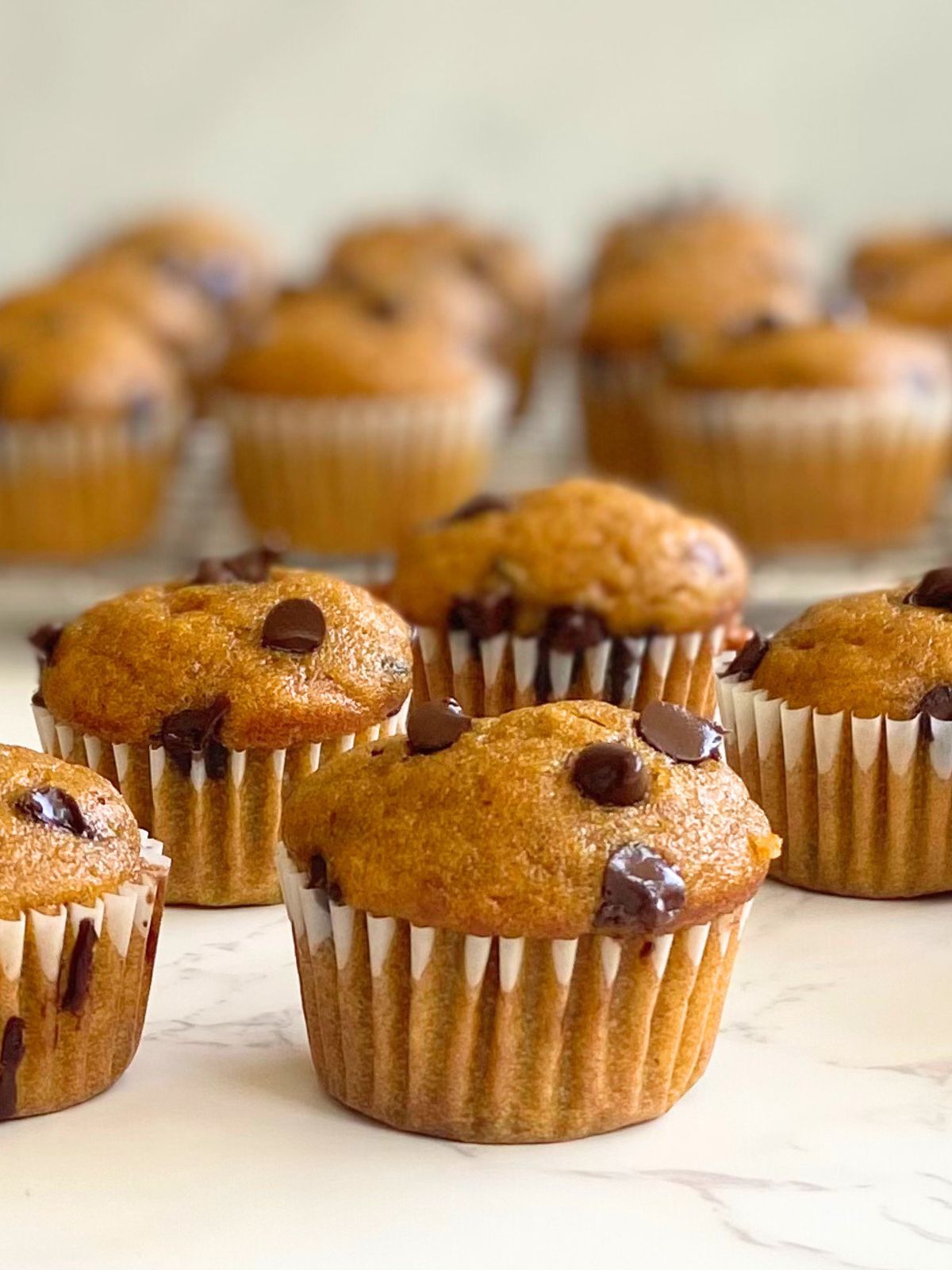 mini pumpkin chocolate chip muffins