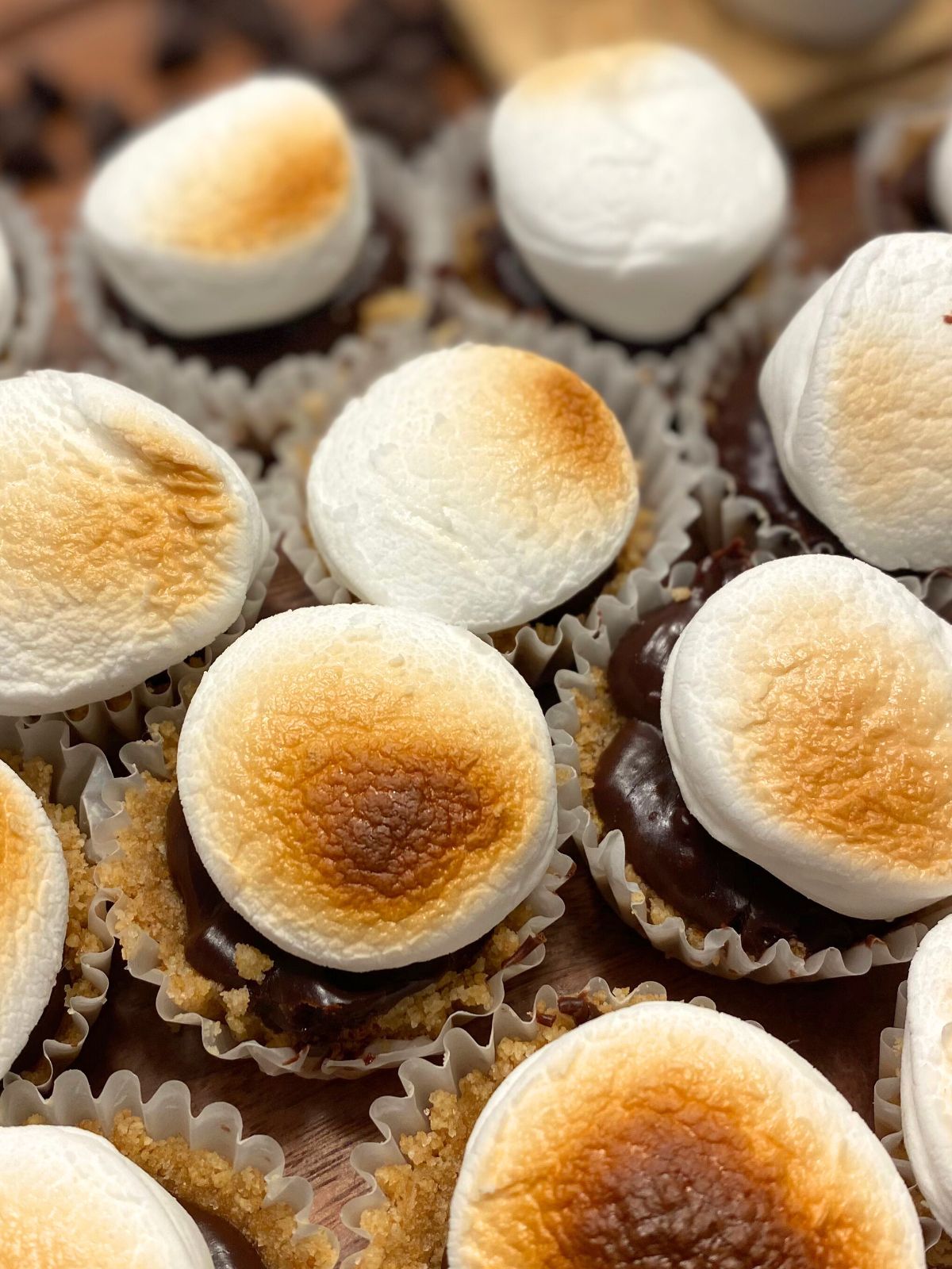 mini smores bites