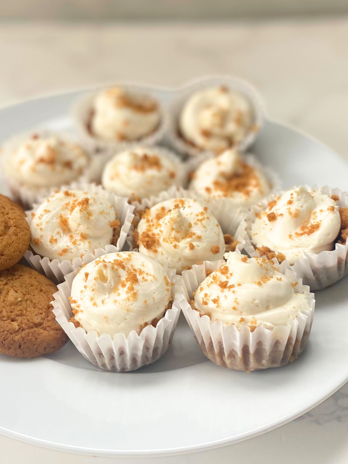 gingersnap cheesecake bites