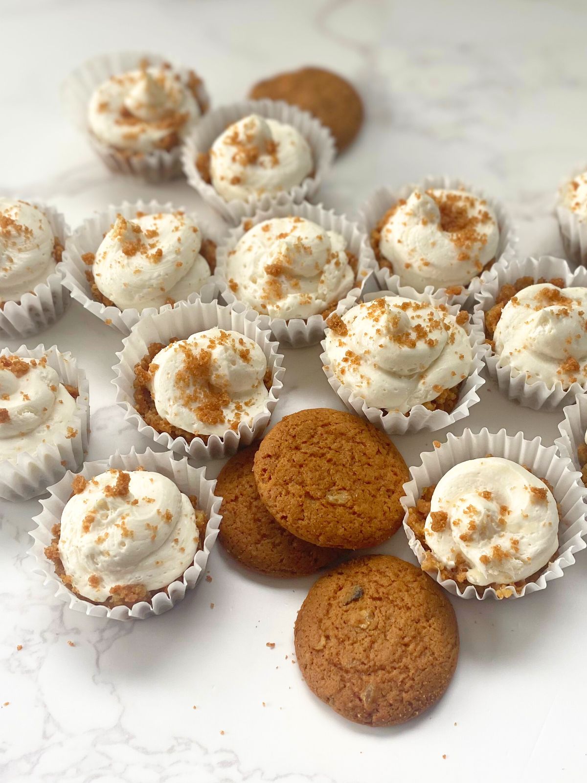 gingersnap cheesecake bites