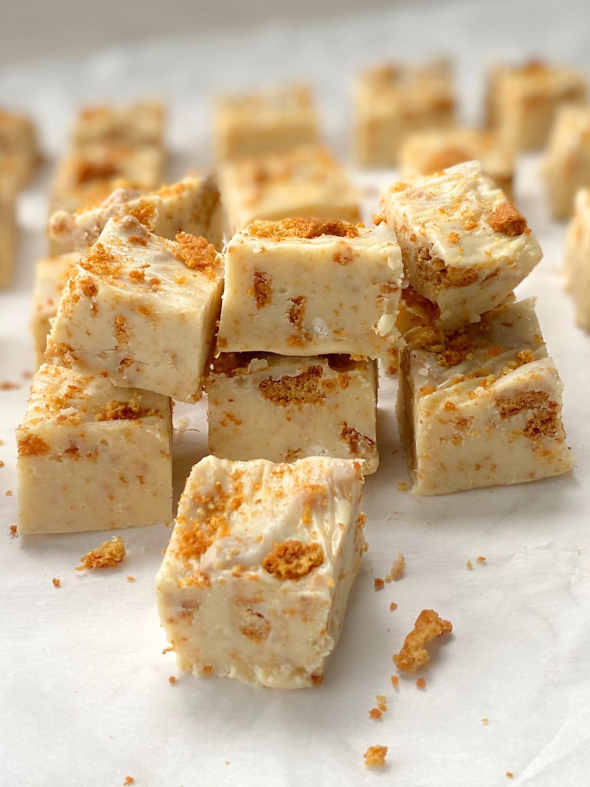 gingersnap fudge