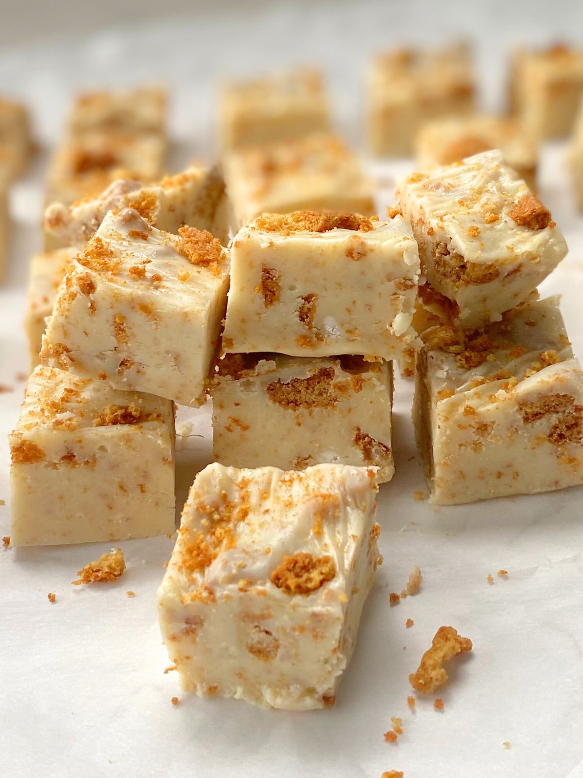 white chocolate fudge with bits of gingersnap cookies in it