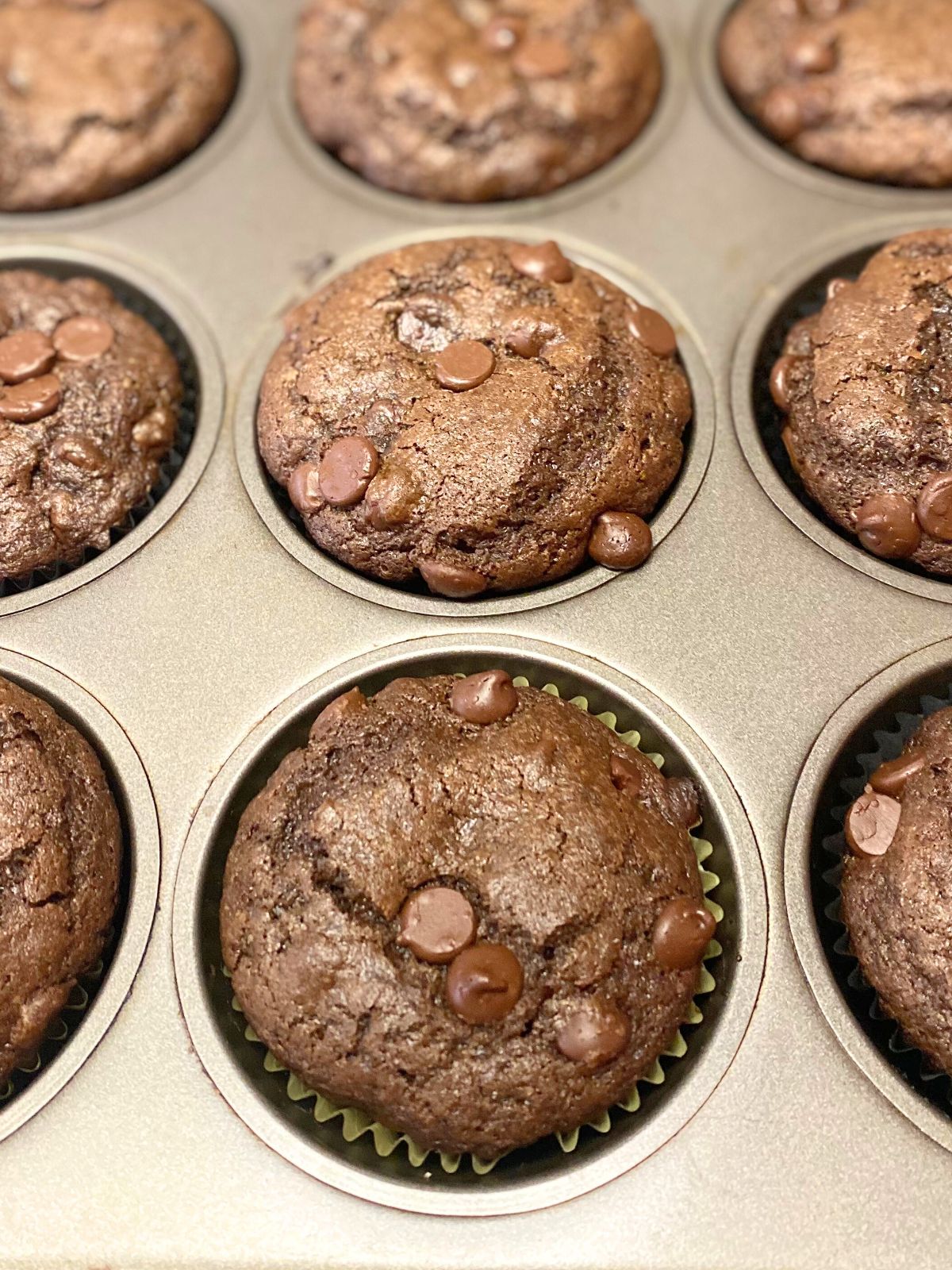 double chocolate muffins