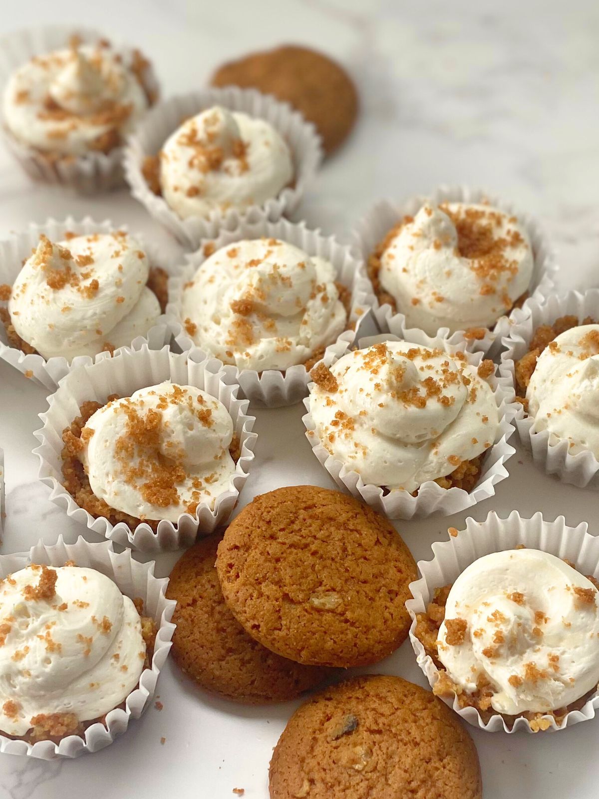 gigersnape cheesecake bites