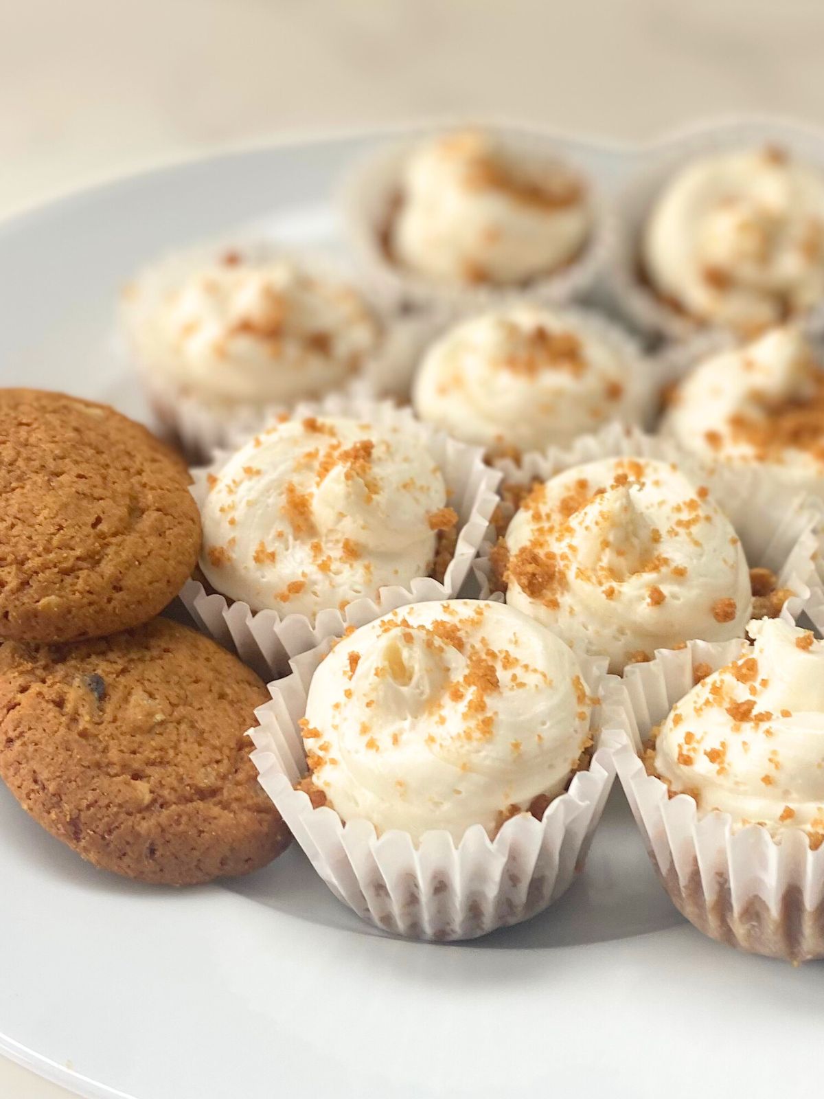 gingersnap cheesecake bites