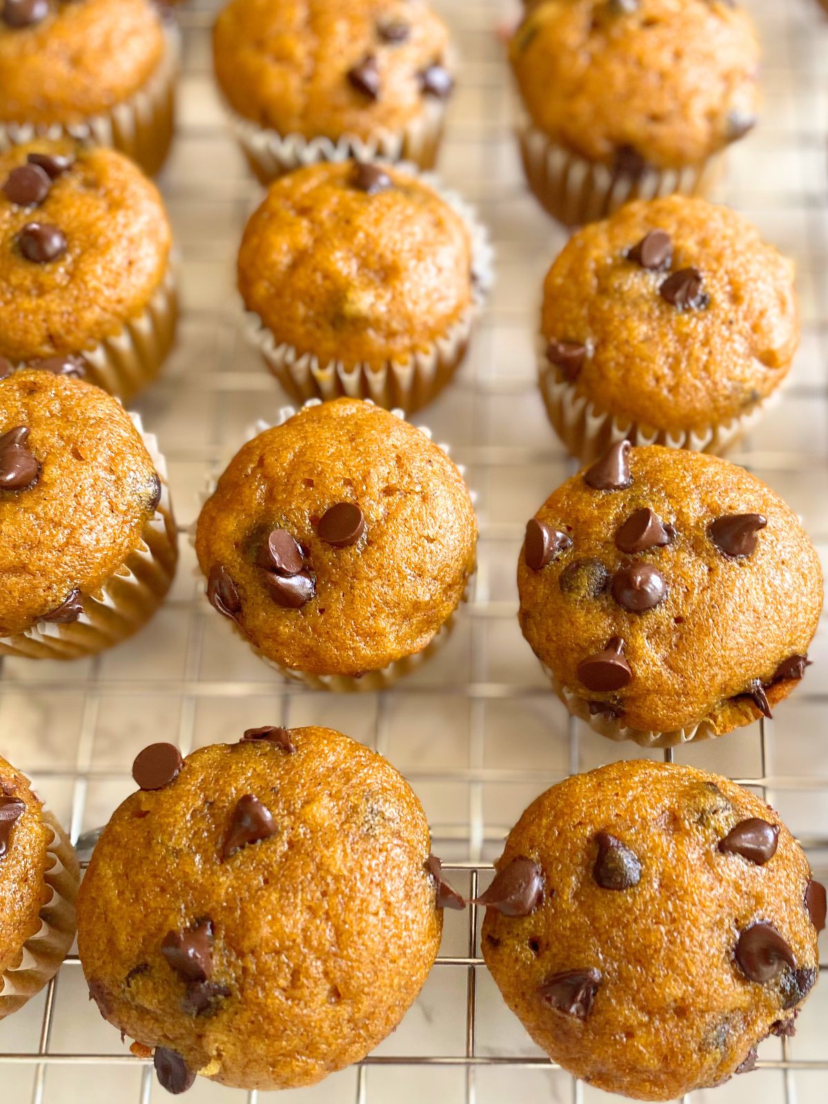 mini pumpkin muffins