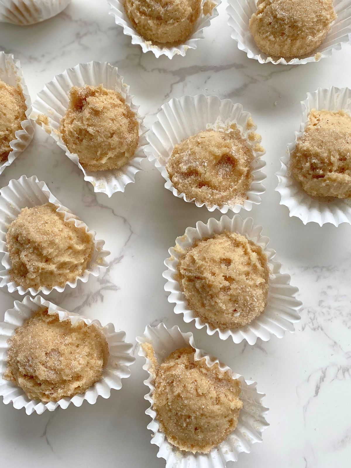 snickerdoodle edible cookie dough