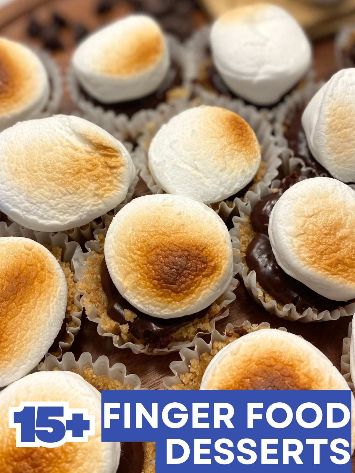 mini smores bites