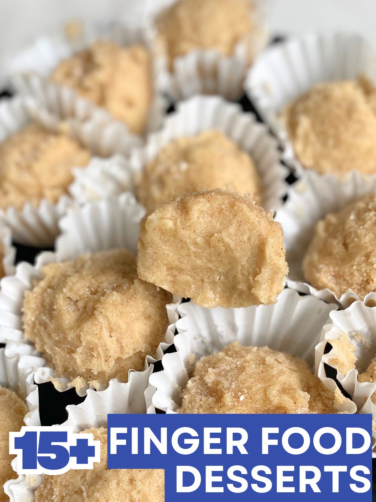 snickerdoodle cookie dough