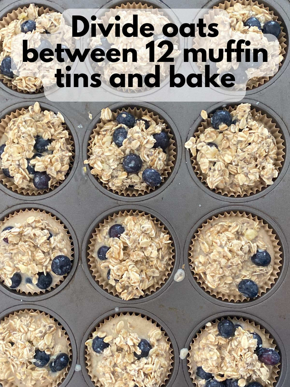 muffin tin filled with unbaked lemon blueberry oatmeal